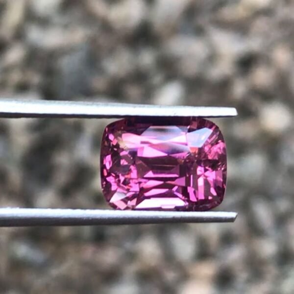 SPINEL - Image 3