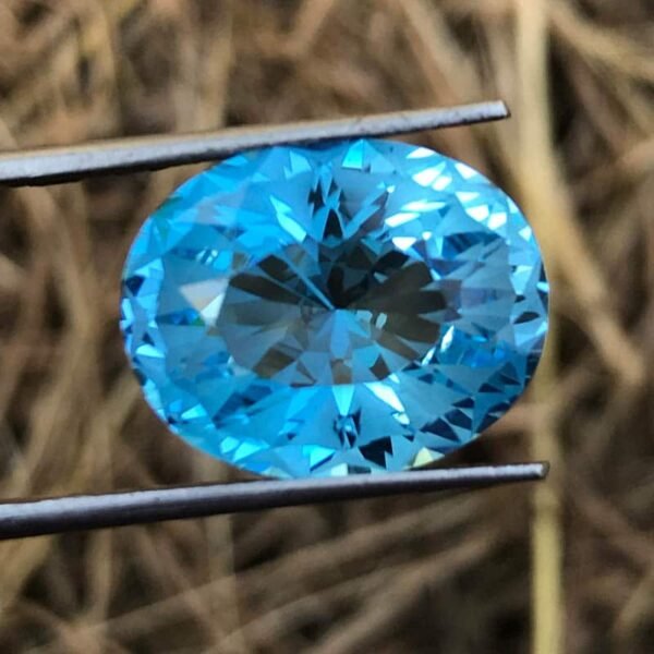 TOPAZ - Image 3