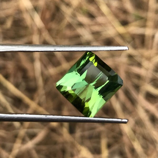 TOURMALINE - Image 3